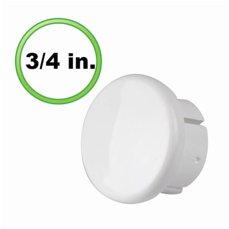 Circo Innovations 0.75 in. Internal Cap PVC Fitting 72-F